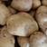 精选山东荷兰十五黄心土豆，物美价廉，协助找车，产地发货