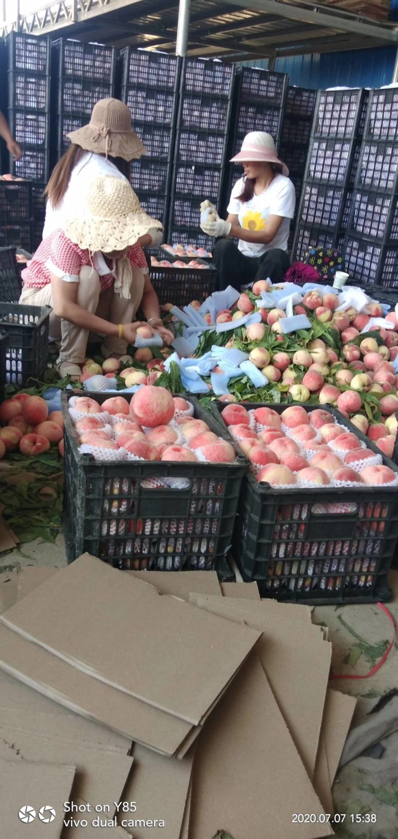：天水仓方早生桃，果大汁多，产地直供，货源充足，质量保证
