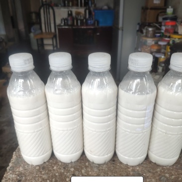 此生物菌水溶肥适合槟榔，柑桔柠檬，胡椒，根藤类蔬菜等，