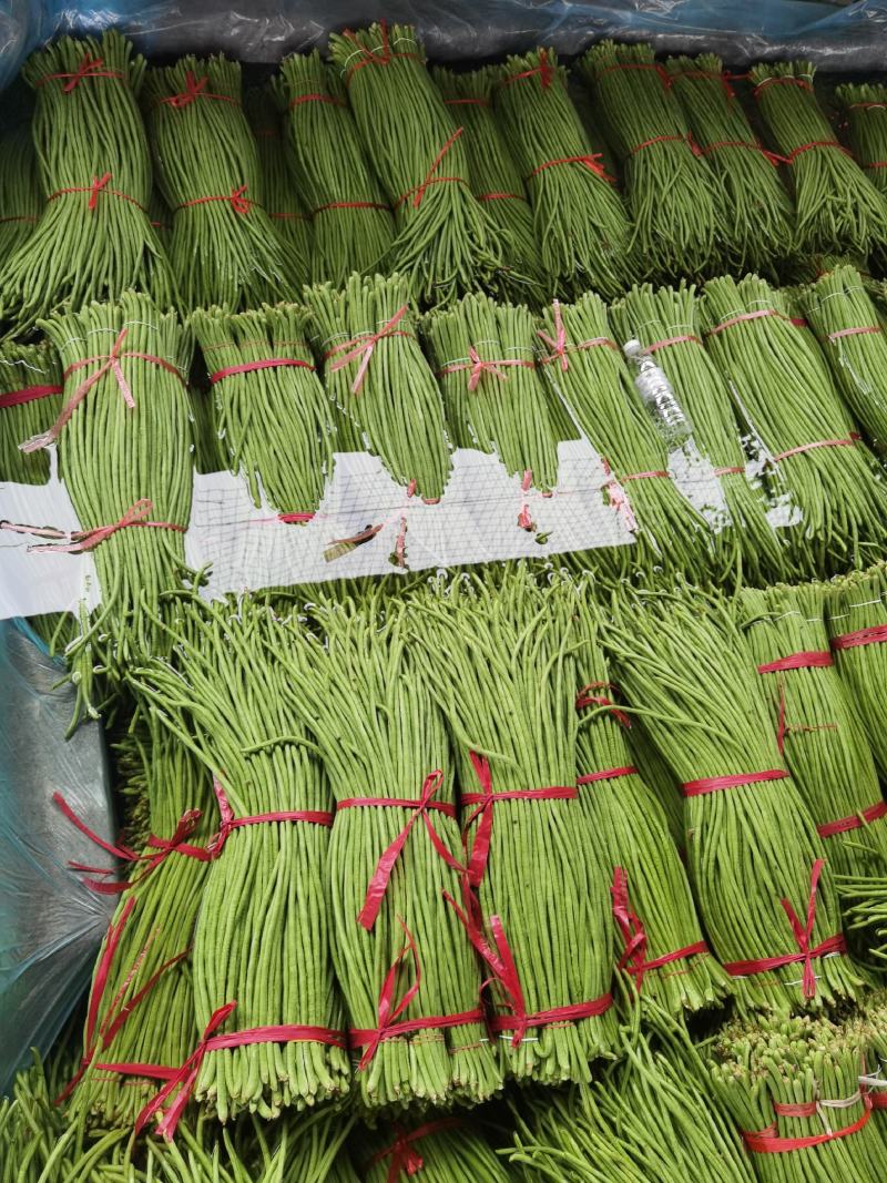 长豆角基地代办，豇豆，兰陵长豆角豇豆绿条豆角