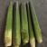 新鲜茭白、蔬菜批发
