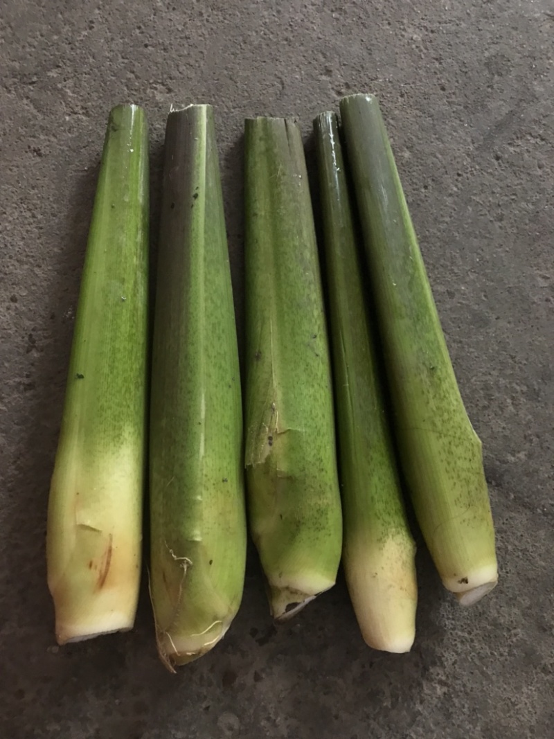 新鲜茭白、蔬菜批发
