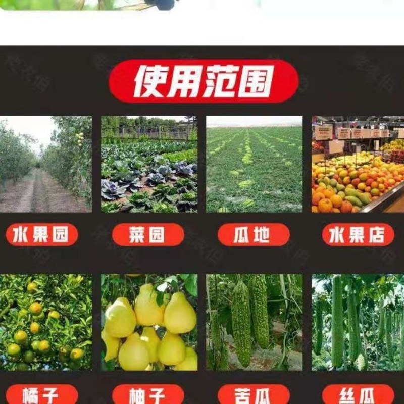 诱捕器〈包邮）粘虫球诱粘球果蝇诱粘器果蝇球诱粘球诱蝇球