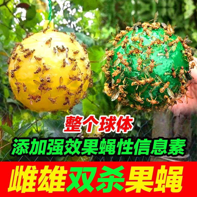 诱捕器〈包邮）粘虫球诱粘球果蝇诱粘器果蝇球诱粘球诱蝇球