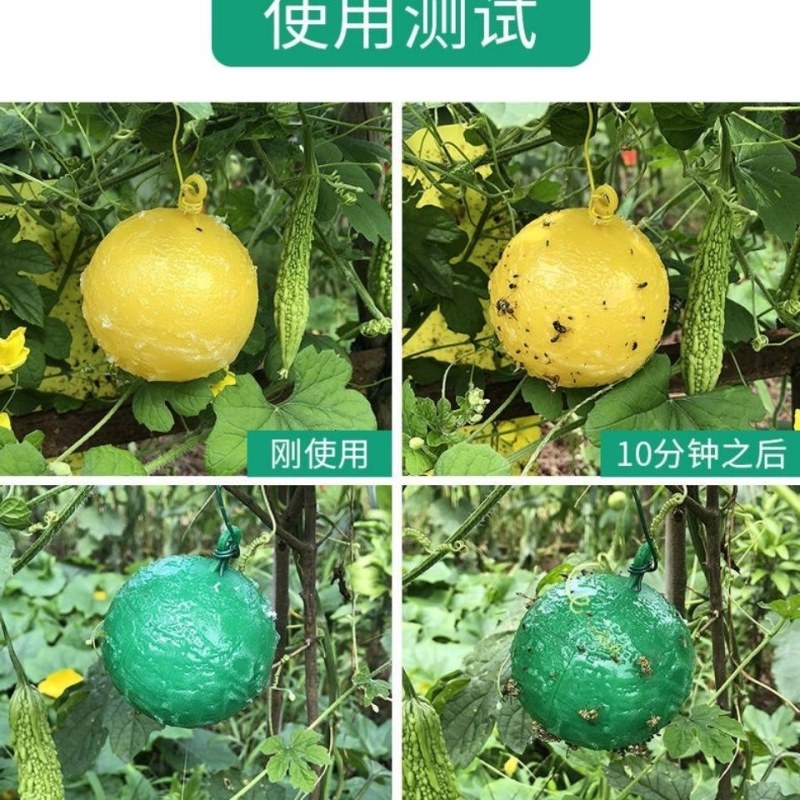 诱捕器〈包邮）粘虫球诱粘球果蝇诱粘器果蝇球诱粘球诱蝇球