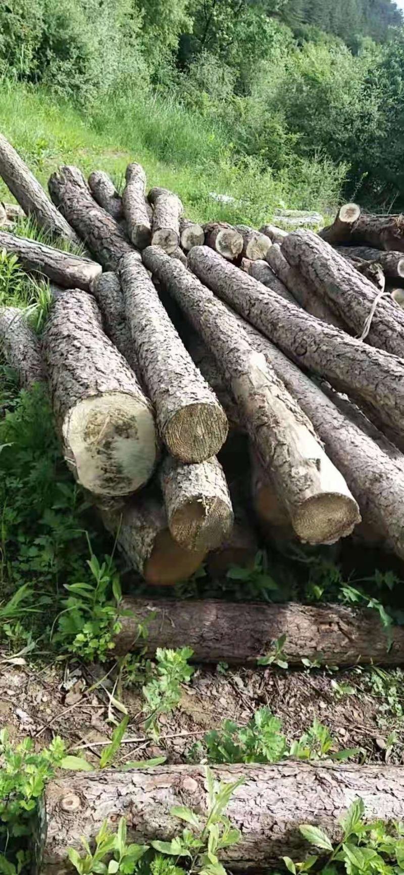 原木