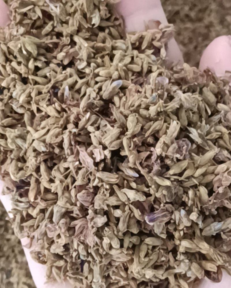 葛花，细花