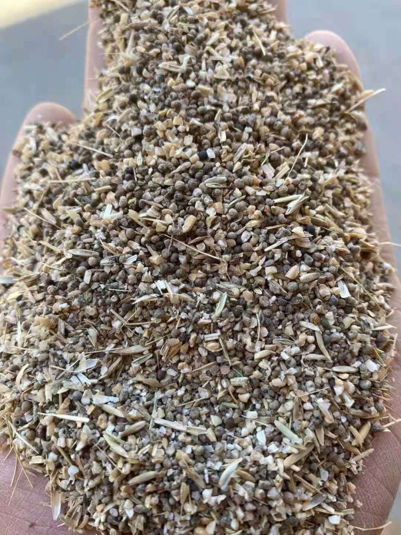 长期供应草籽麦猪牛羊饲料，草籽麦