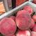 砀山县沙红水密桃，有明桃，四八油桃，八三黄桃，大量上市，