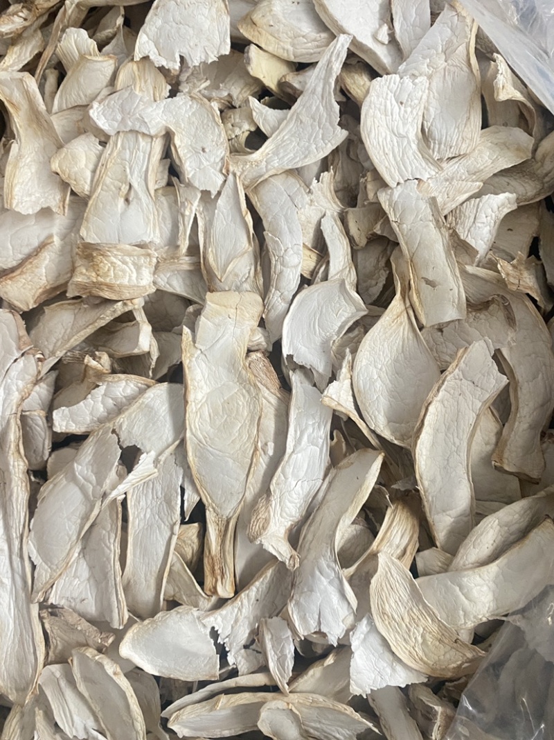 杏鲍菇干杏鲍菇片过筛货干净没有杂志