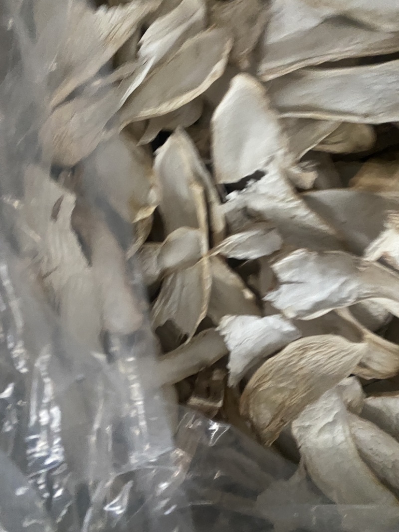 杏鲍菇干杏鲍菇片过筛货干净没有杂志