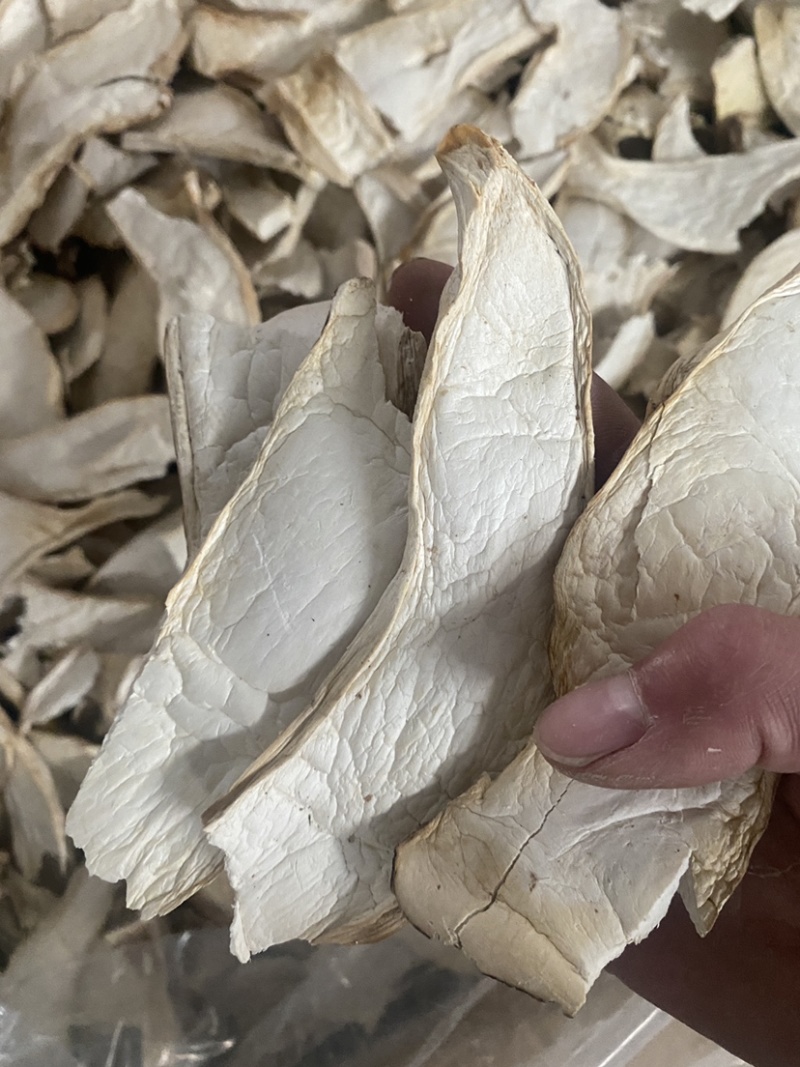 杏鲍菇干杏鲍菇片过筛货干净没有杂志