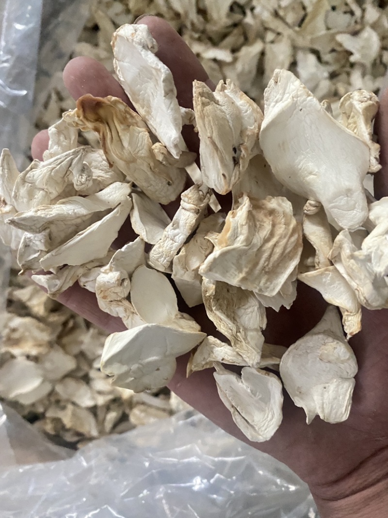 杏鲍菇干杏鲍菇片过筛货干净没有杂志