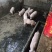 猪仔