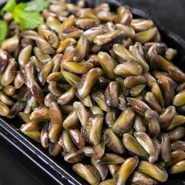 海瓜子当季肥美鲜甜薄壳，大排挡专用，可清炒可煮汤