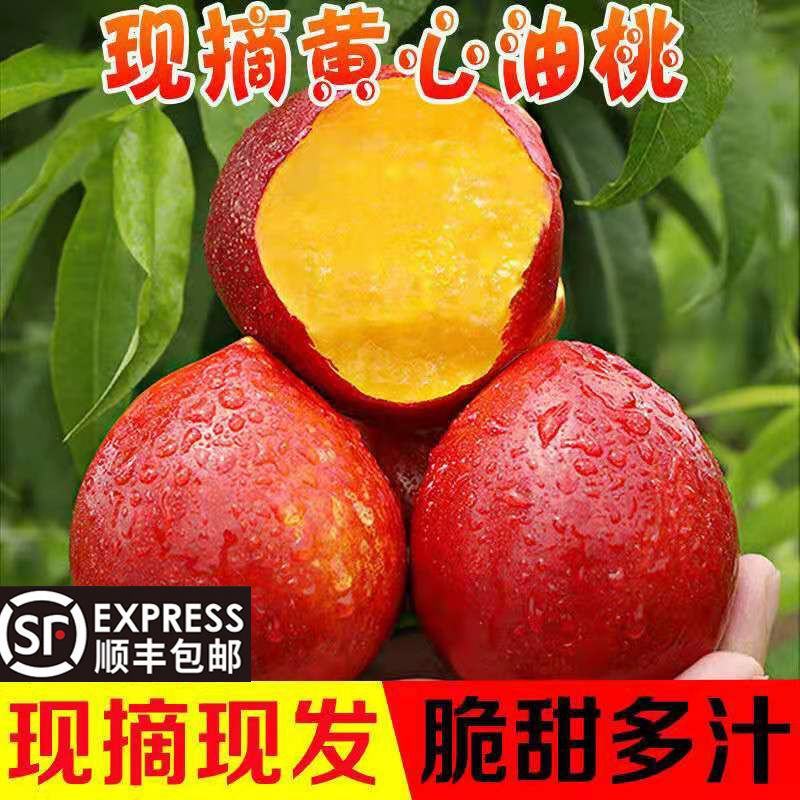 平谷油桃熟了