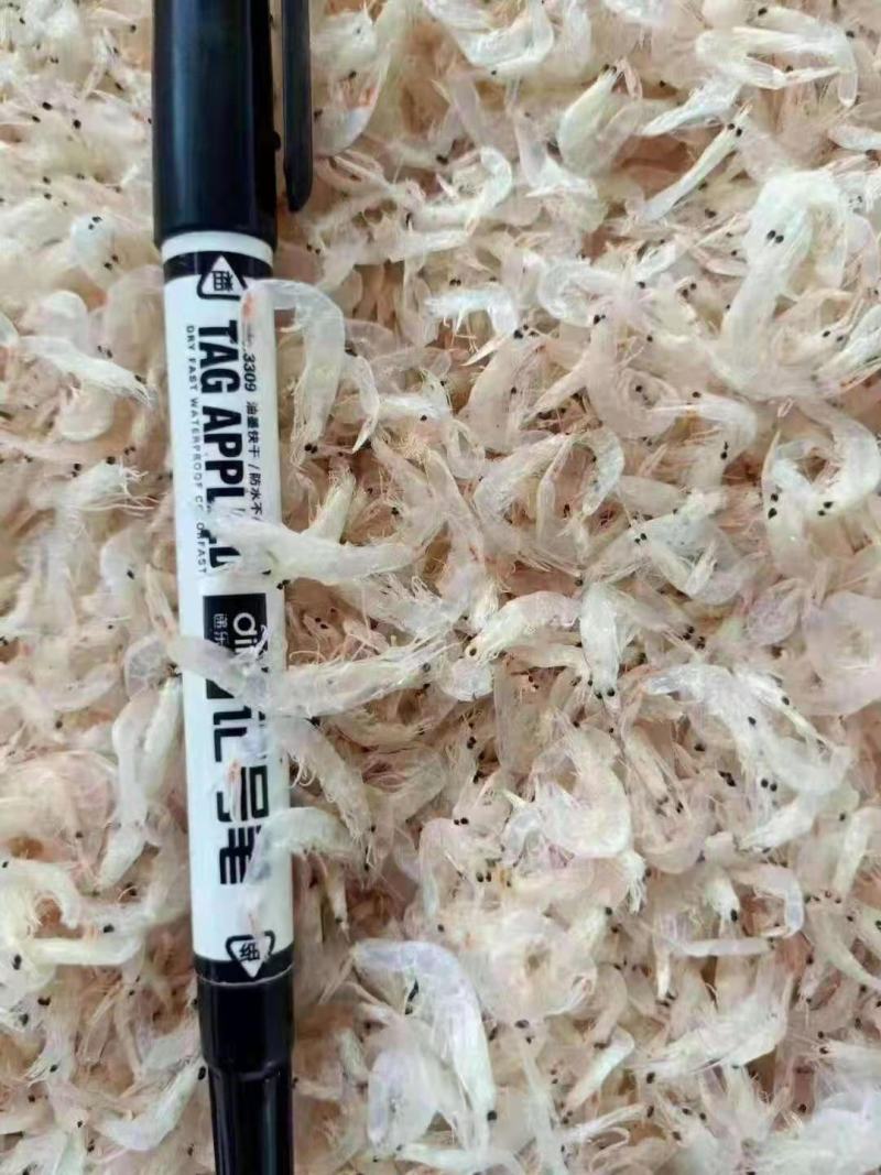 虾皮营养价值丰富磷铁含量高
