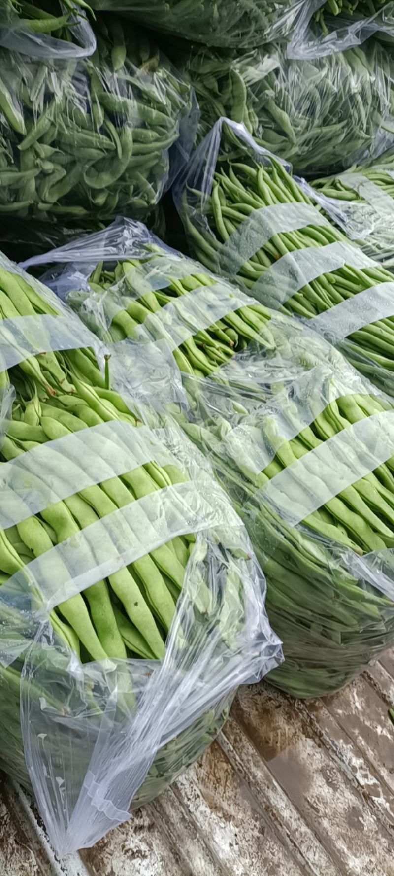 夹江无经豆4月份开始大量上市。现在预售阶段。