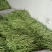 夹江无经豆4月份开始大量上市。现在预售阶段。