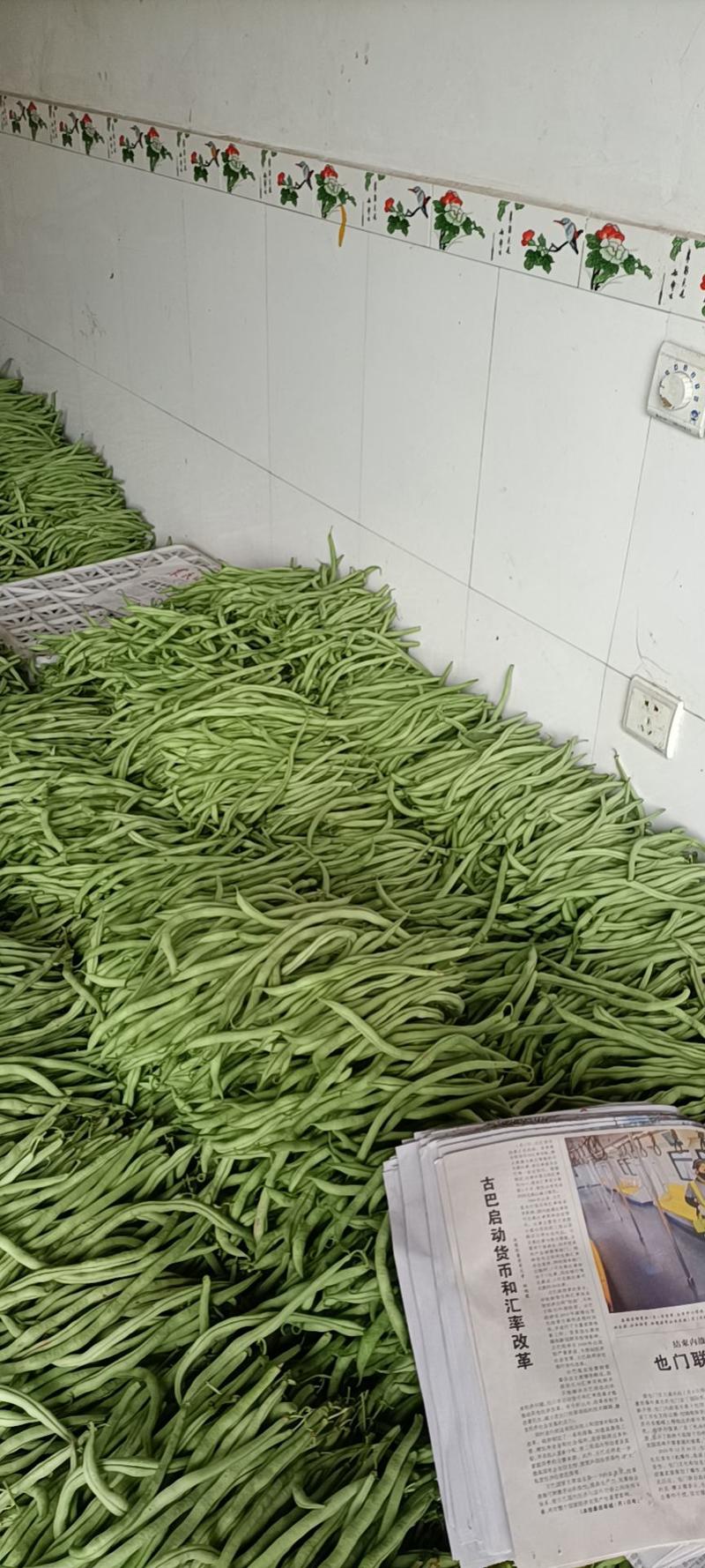 夹江无经豆4月份开始大量上市。现在预售阶段。
