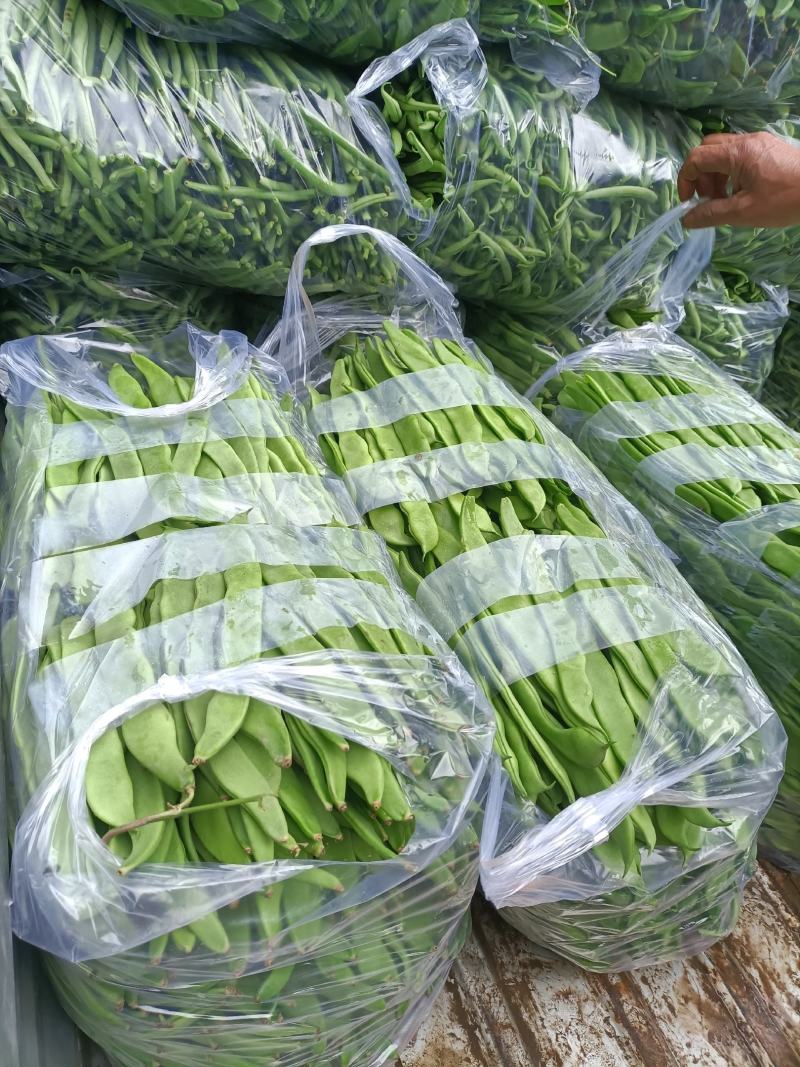 夹江无经豆4月份开始大量上市。现在预售阶段。