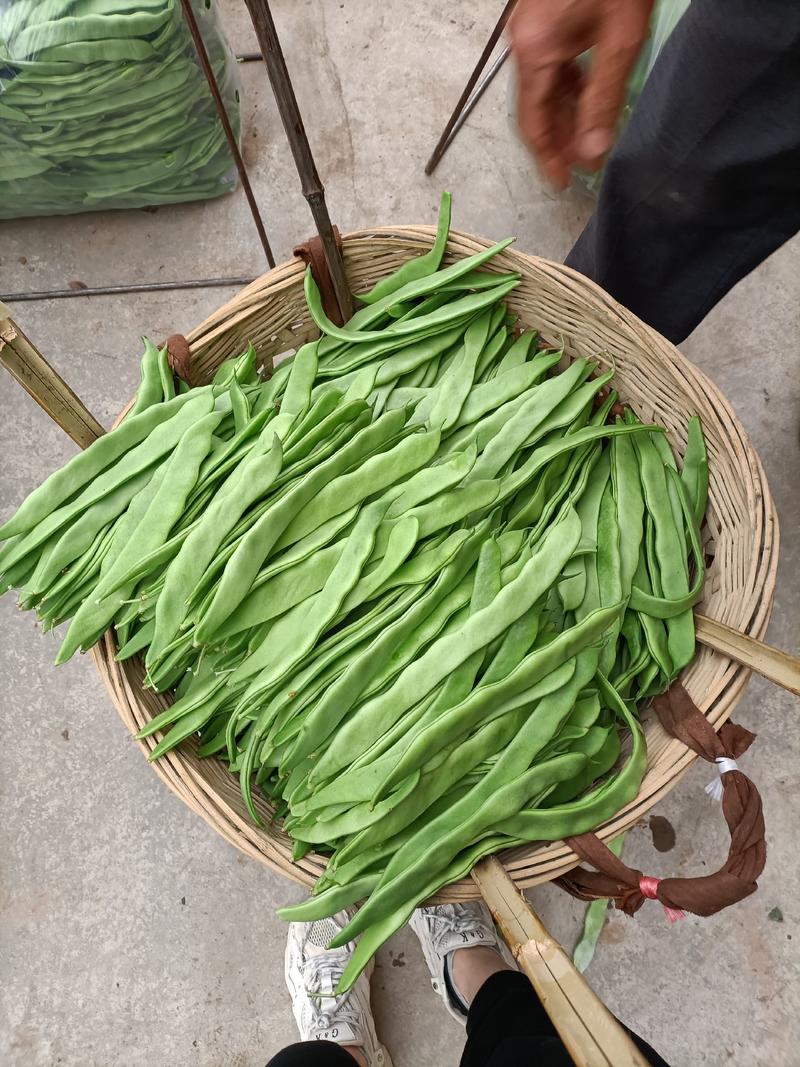 夹江无经豆4月份开始大量上市。现在预售阶段。