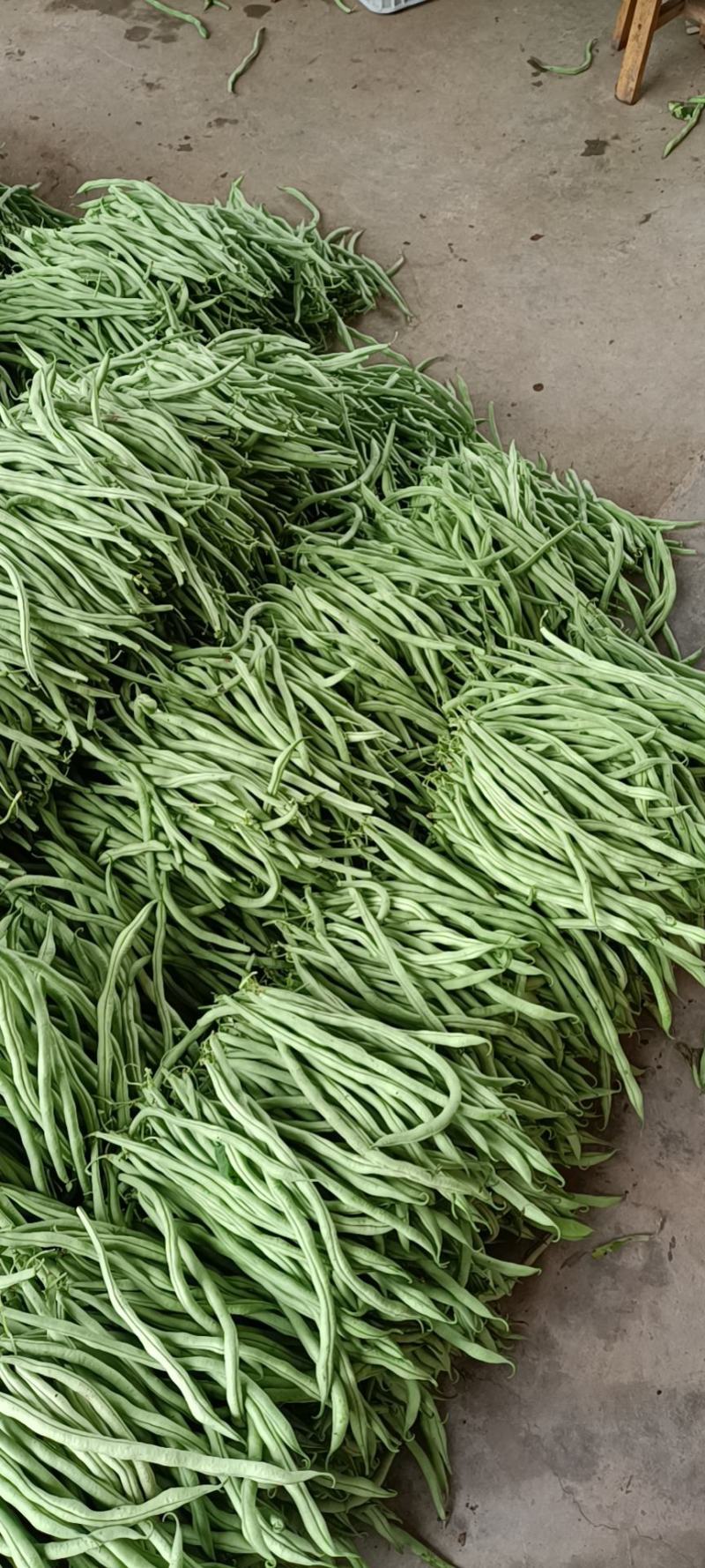 夹江无经豆4月份开始大量上市。现在预售阶段。