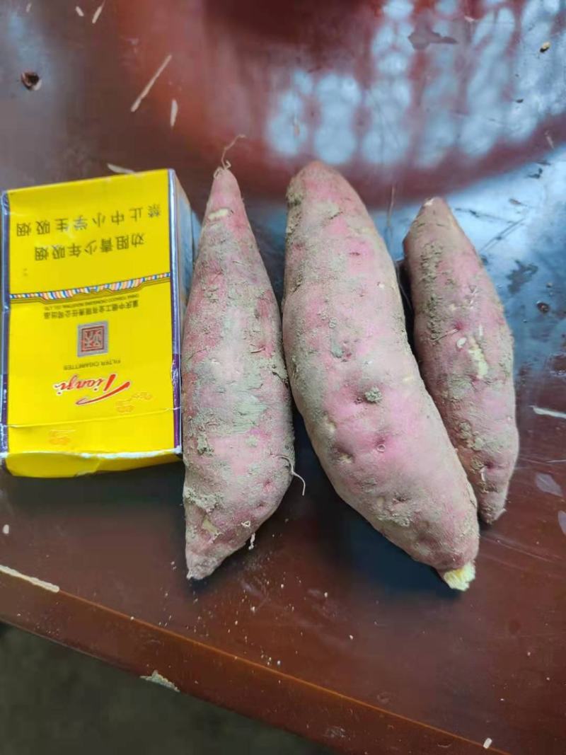 红薯