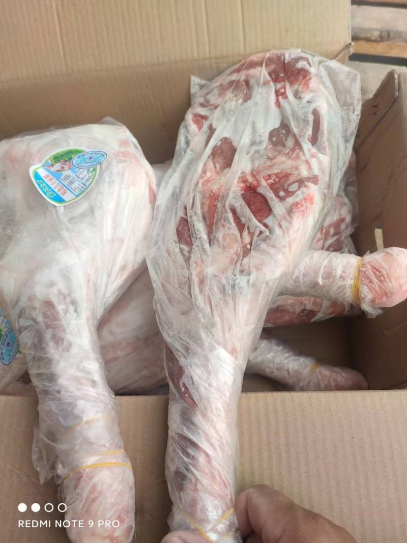 羔羊前腿烧烤饨锅卤制单重2.5斤至3斤质量保证