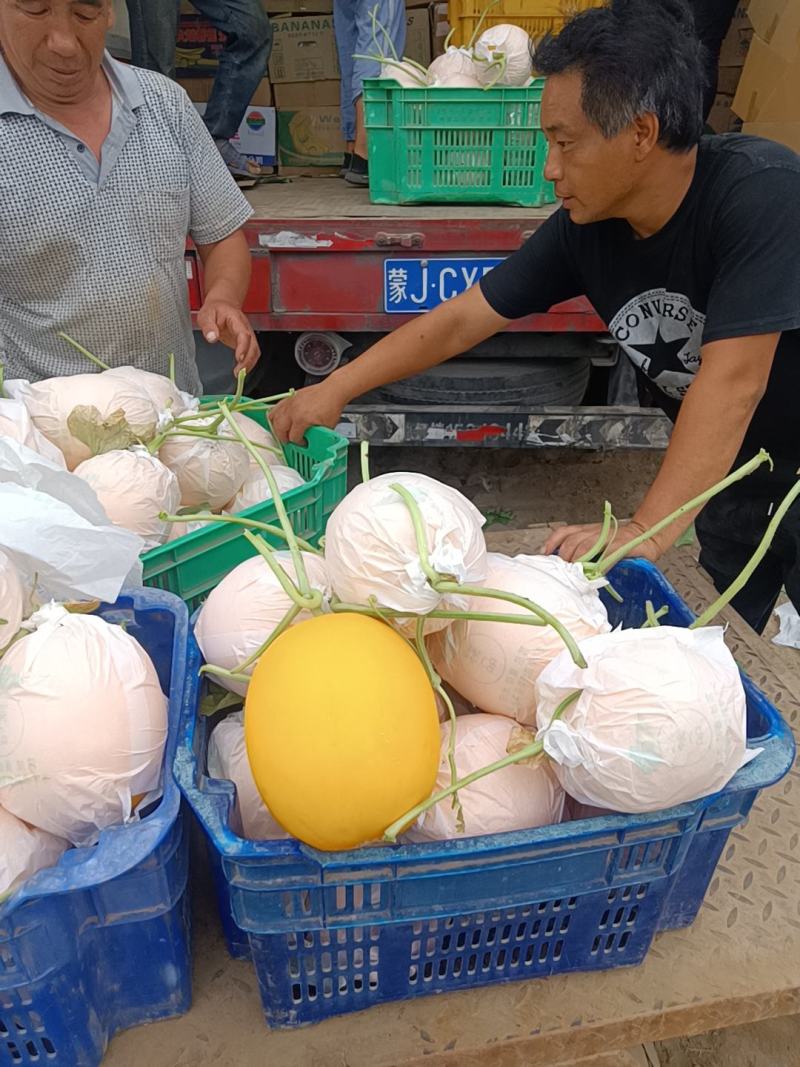 （基地直供）久红瑞的海洋，只要您需要，就能满足您的需……