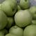 绿宝石梨产地300～500k纸袋♥脆甜多汁♥近期上市