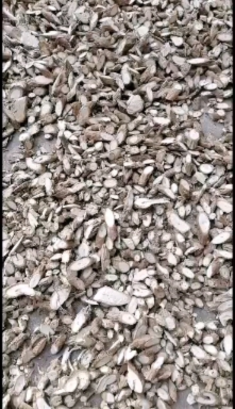 白血藤，稀少货品，现订现挖，干货需提前预订