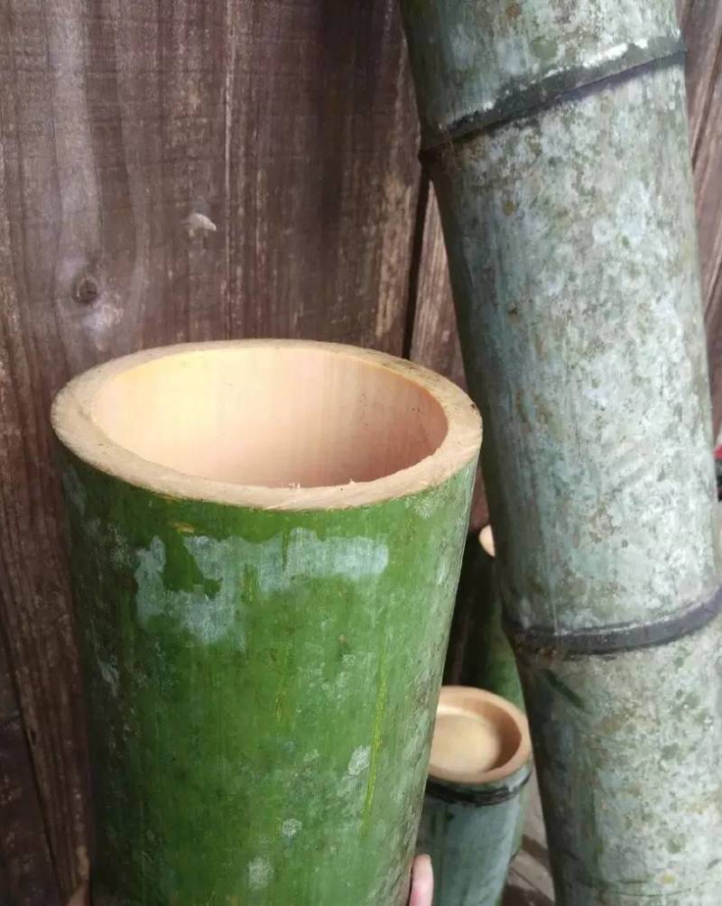 楠竹