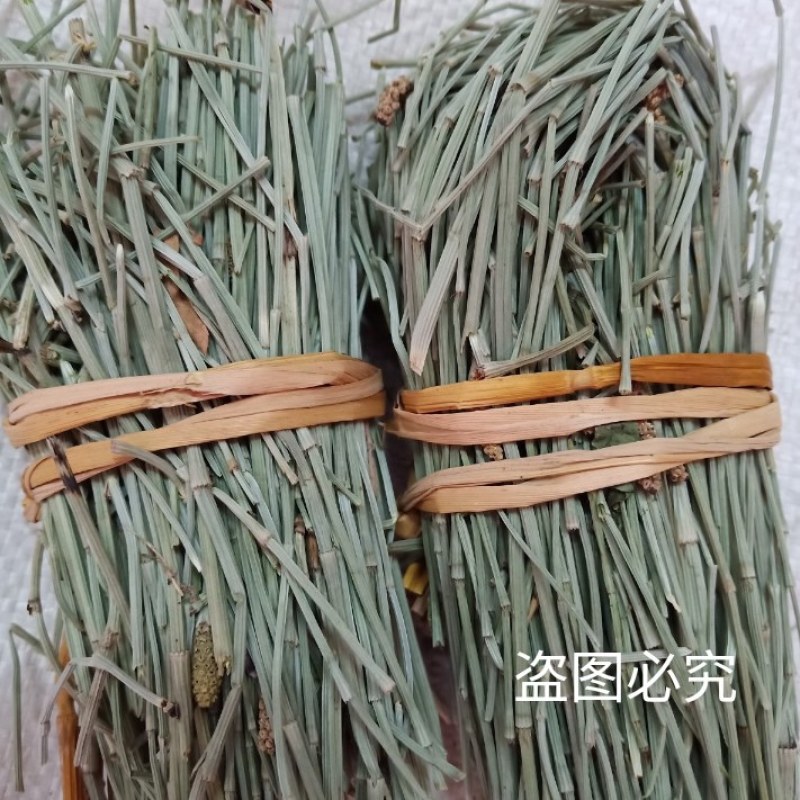 新鲜干木贼草节节草接骨草笔筒草野生中药材鲜干品