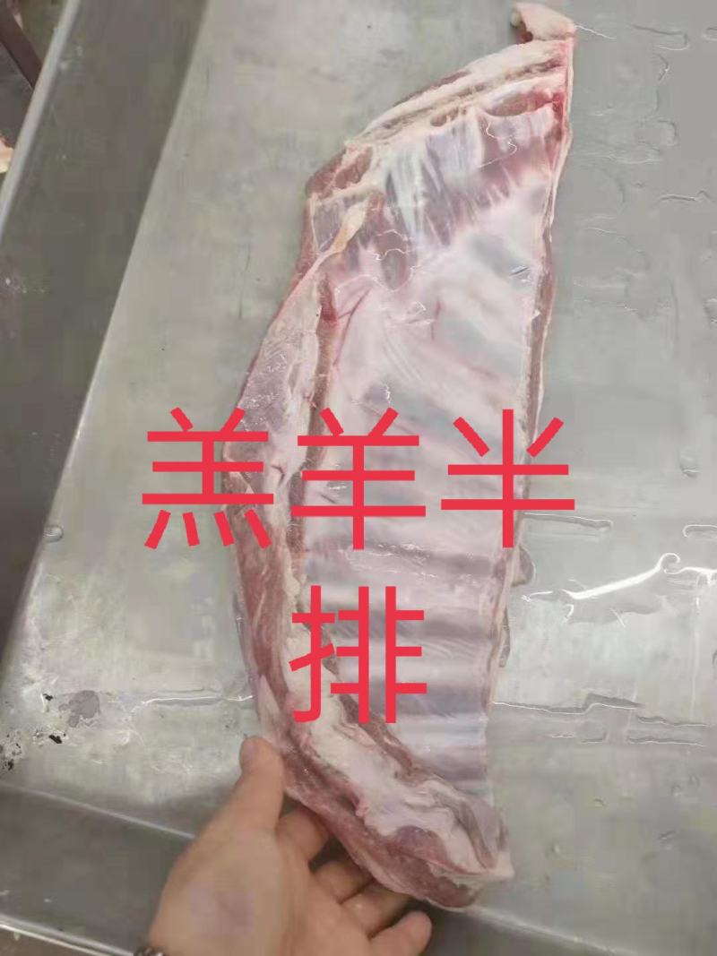 羔羊半排，6到9片装，实拍图片，一手货源，量大从优