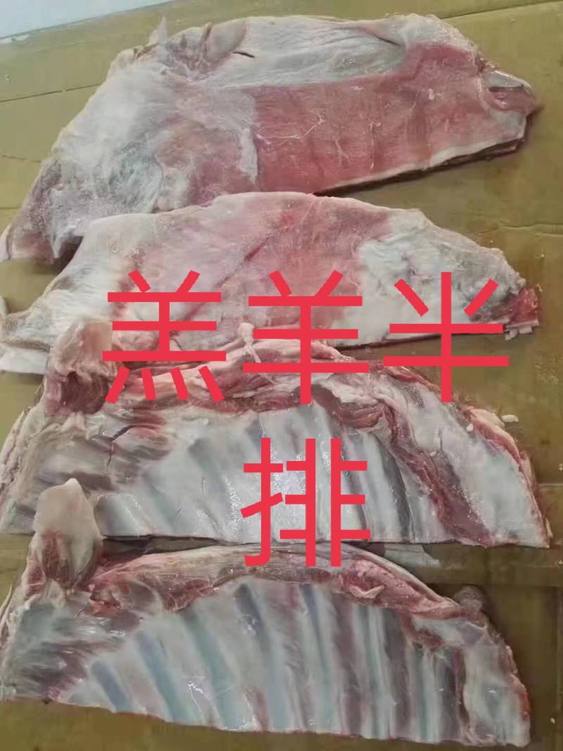 羔羊半排，6到9片装，实拍图片，一手货源，量大从优