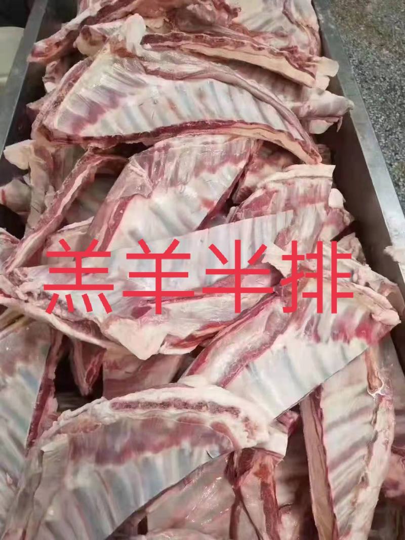 羔羊半排，6到9片装，实拍图片，一手货源，量大从优