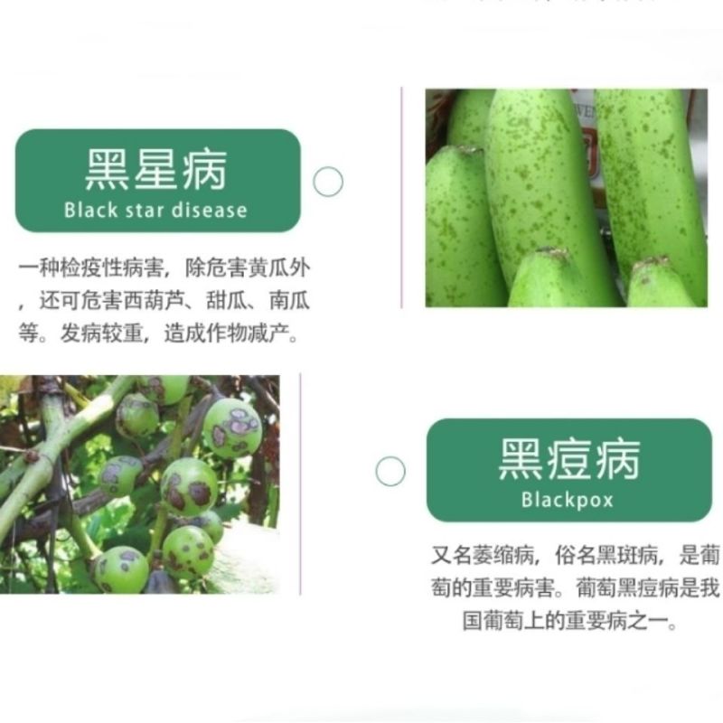 43%代森锰锌杀菌剂防治叶斑病黑斑病炭疽锈病斑点落叶10