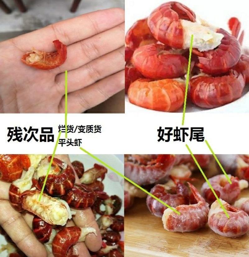 大厂直销，一级包冰小龙虾虾尾，毛重9斤净重4斤