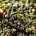 台湾高山茶阿里山茶特级台湾大禹岭新茶冻顶乌龙茶