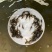 现货杂交黄骨鱼苗黄颡鱼苗黄鸭叫昂刺鱼黄辣丁汪丁活鱼苗淡水
