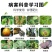 45%咪鲜胺炭疽病农药果树蔬菜叶斑病黑斑病杀菌剂白粉病