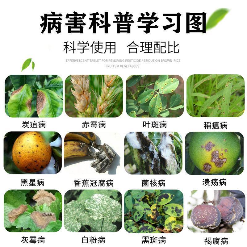 45%咪鲜胺炭疽病农药果树蔬菜叶斑病黑斑病杀菌剂白粉病