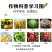 45%咪鲜胺炭疽病农药果树蔬菜叶斑病黑斑病杀菌剂白粉病