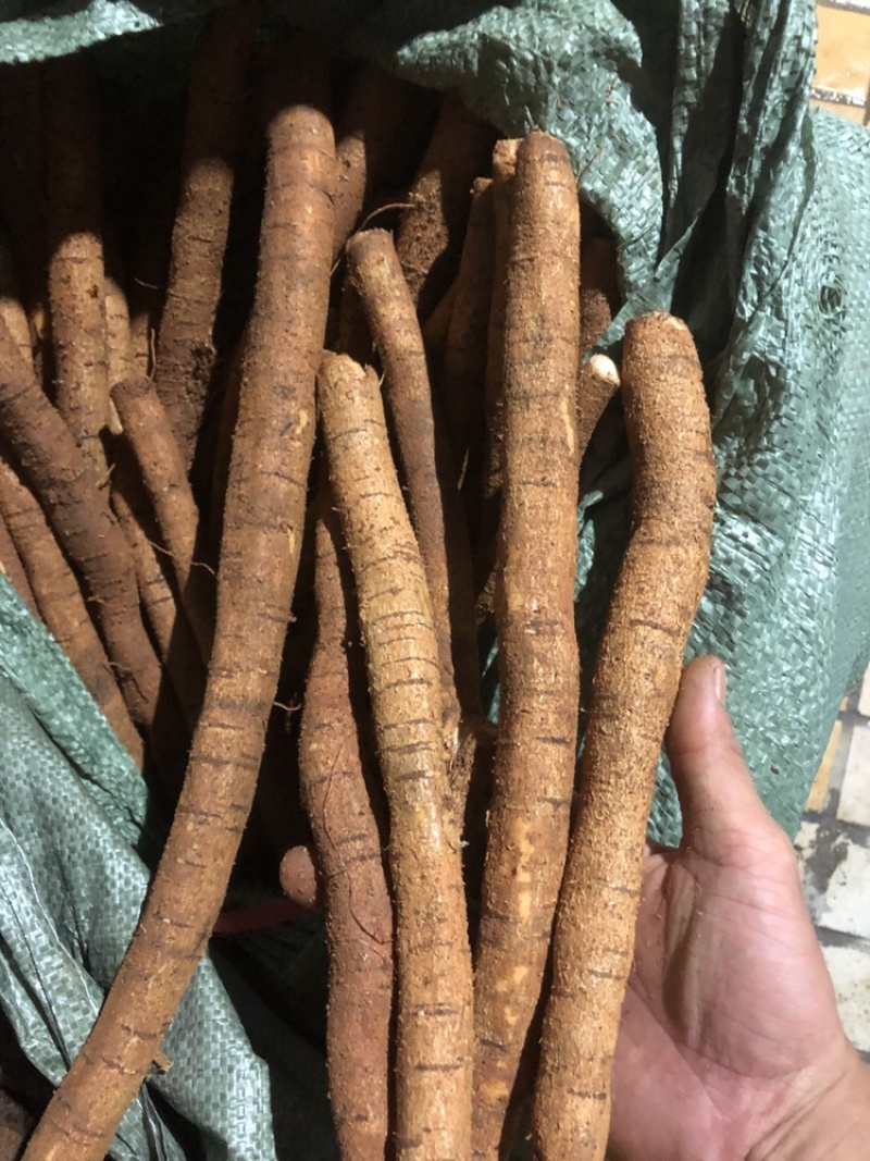 新鲜牛大力