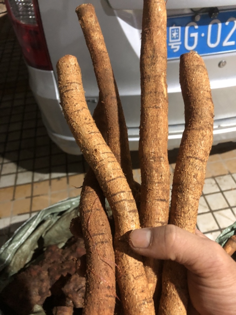 新鲜牛大力