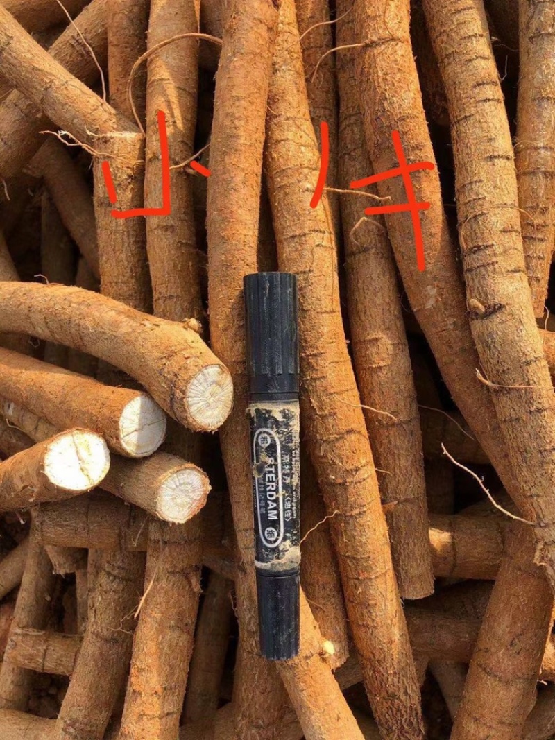 新鲜牛大力