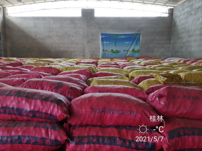 （一件代发）广西荔浦红皮马蹄脆甜化渣水果马蹄带泥发货