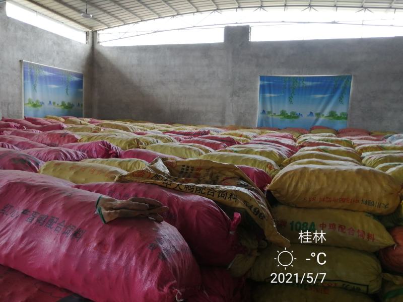 （一件代发）广西荔浦红皮马蹄脆甜化渣水果马蹄带泥发货