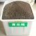 黄花槐种子金凤树豆槐黄槐种优良园林绿化树种双荚槐红花槐